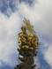 Plague Column/Graben